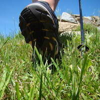 Wandern oder Nordic-Walking im Bayerischen Wald.